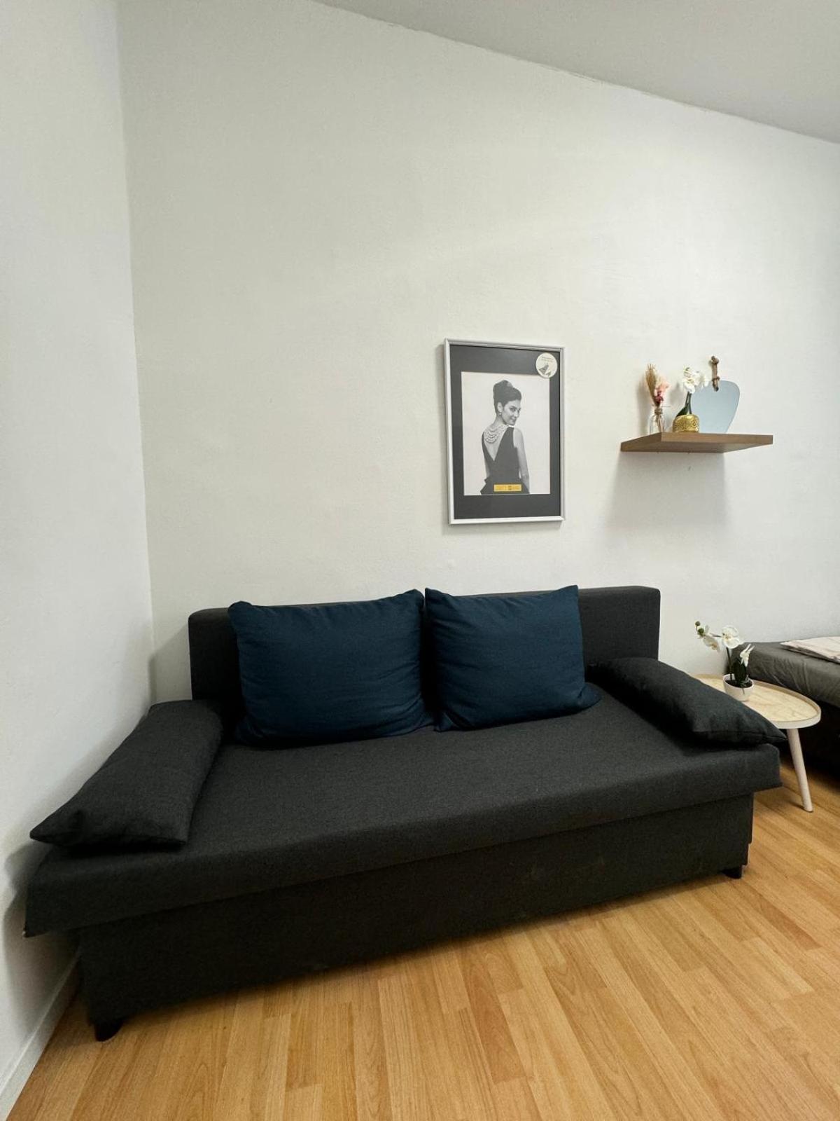 Appartement Comfy In A Shared Apt, 8min To Rathausplatz Vienne