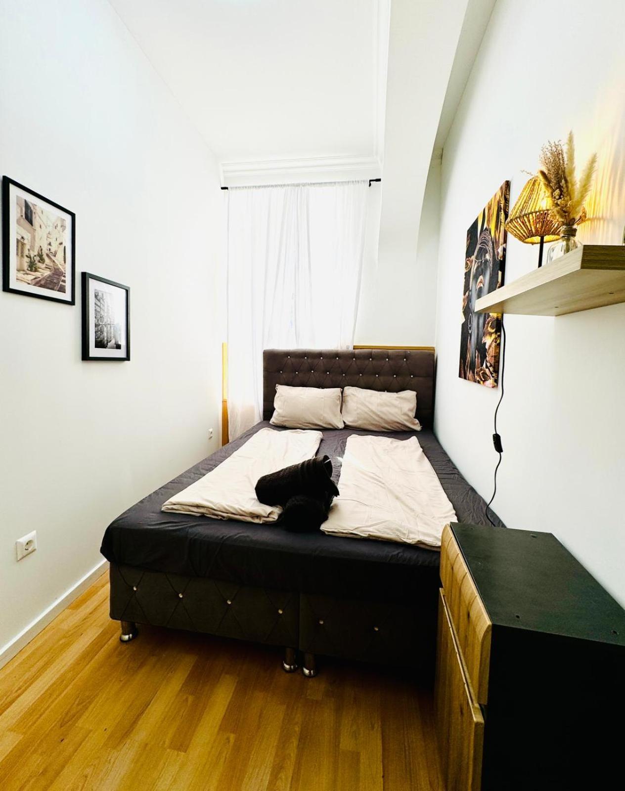 Appartement Comfy In A Shared Apt, 8min To Rathausplatz
